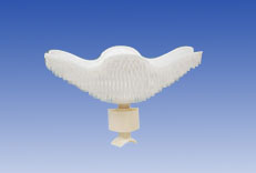 ��������и��ؚ���